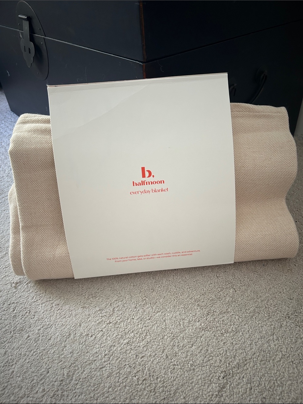 Everyday Blanket - Cream Knit Throw